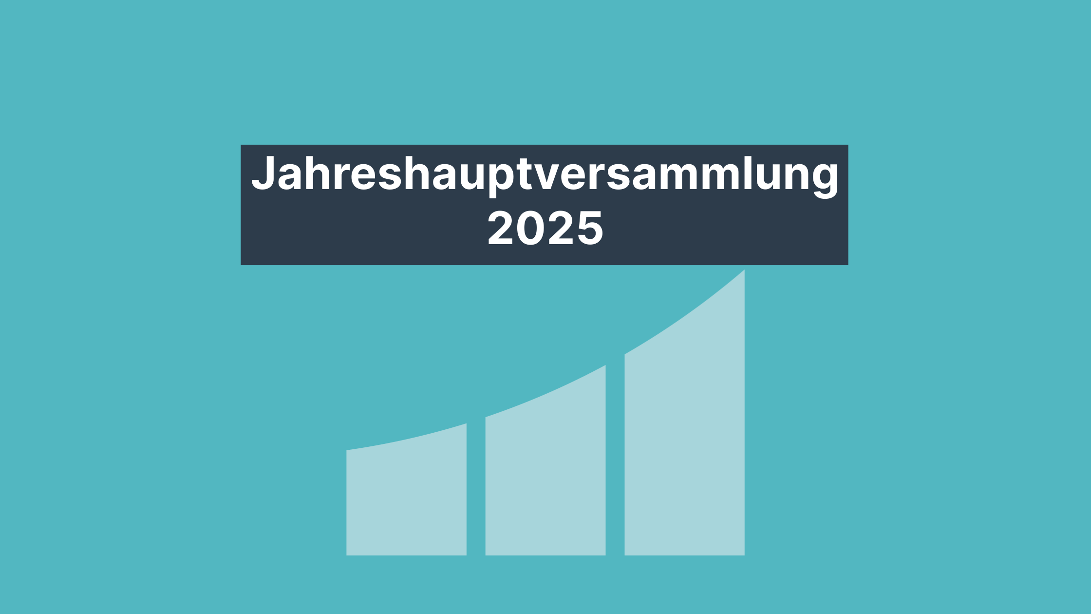 Protokoll Jahreshauptversammlung 09.04.2025